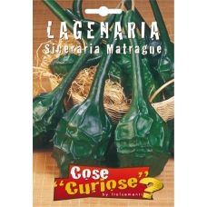 Zucca Matraque – Lagenaria Sinceraria 1